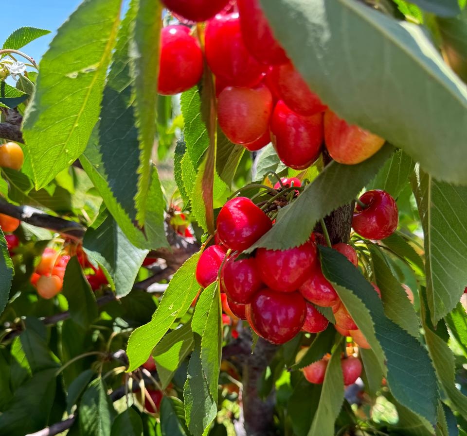 Imagen de la empresa